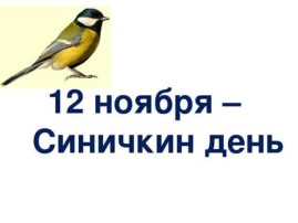 Синичкин день.